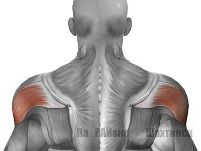 Мышца, которую не видно - задняя дельта. Как прокачать?
