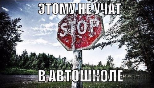 Этому не научат в автошколе