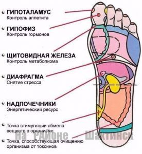 Несколько активных точек на стопе вернут тебе бодрость за пару минут