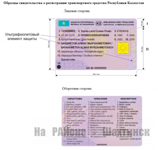 Новые техпаспорта на авто вводятся  с 1 декабря