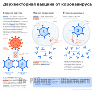 «Спутник V»