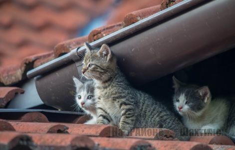 Житель Шахана скончался от травматического шока в реанимации Шахтинска