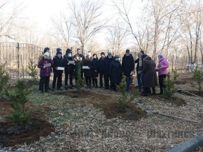 В поселке Новодолинский появилась новая аллея Независимости